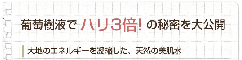 ytI[Cet@Tv[p[tFNgWFzTCg